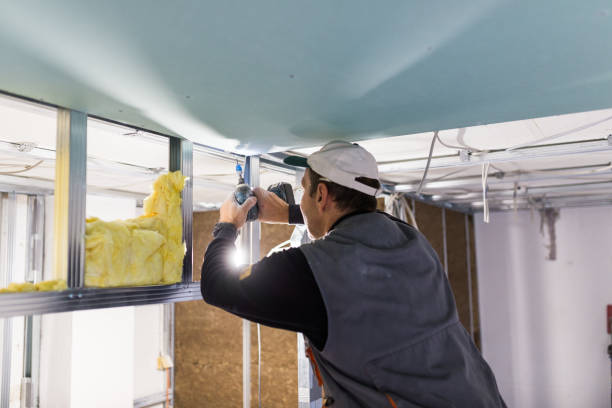 Best Commercial Insulation in Blooming Prairie, MN