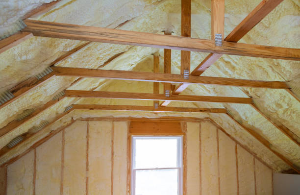 Best Insulation Maintenance and Repair in Blooming Prairie, MN