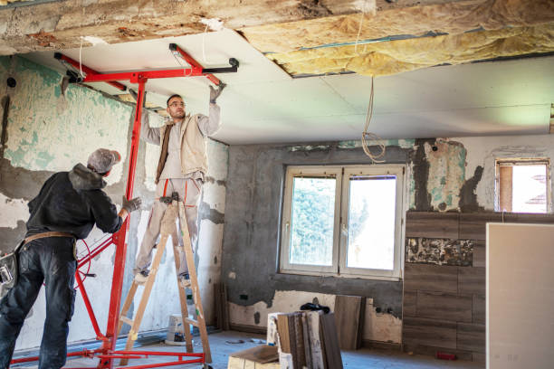 Best Residential Insulation in Blooming Prairie, MN