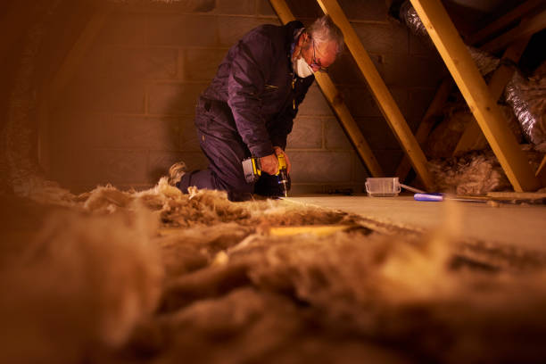 Best Insulation Maintenance and Repair in Blooming Prairie, MN